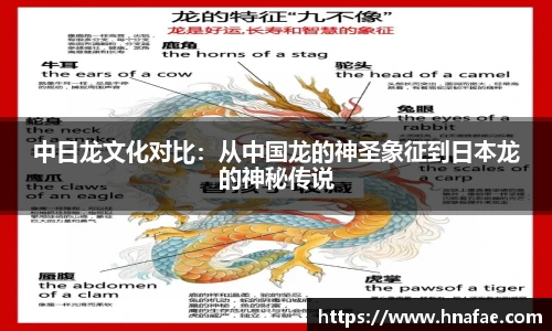 龙8国际