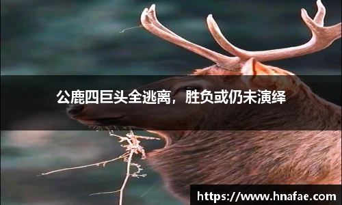 long8唯一中国官方网站